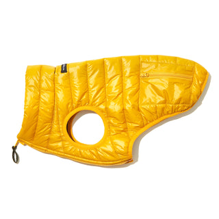 Puffer Yellow