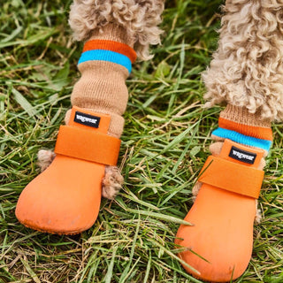 Orange WagWellies on model